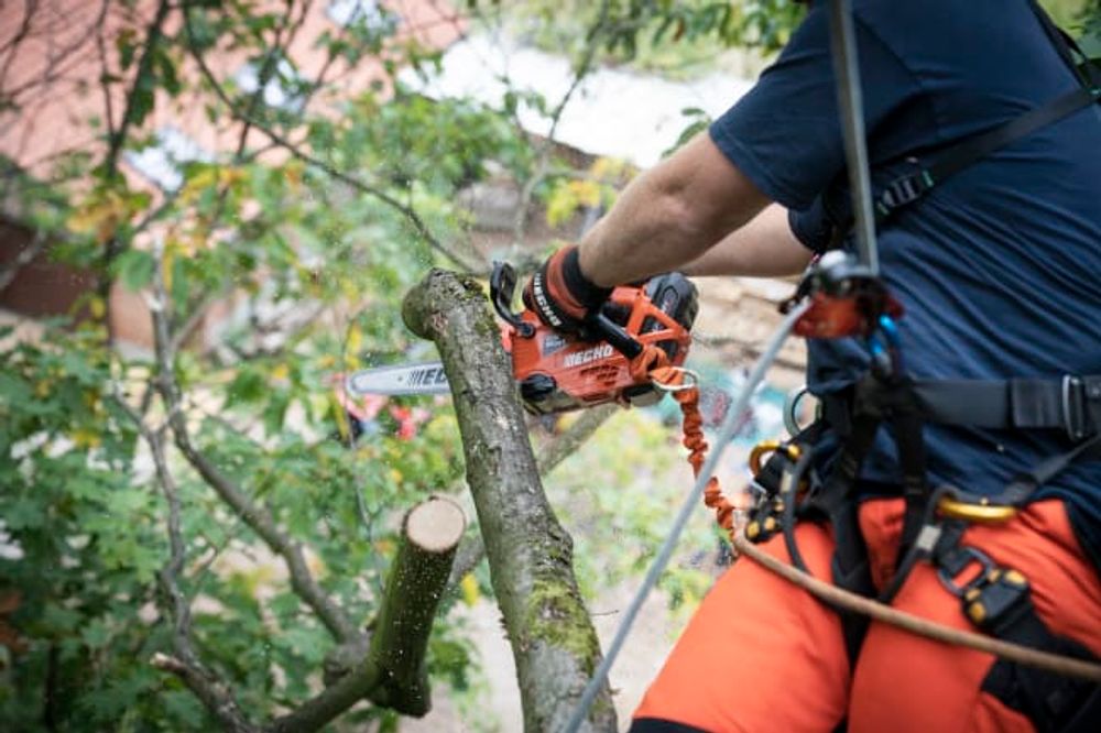 Echo motorsag batteri 50v DCS-2500T