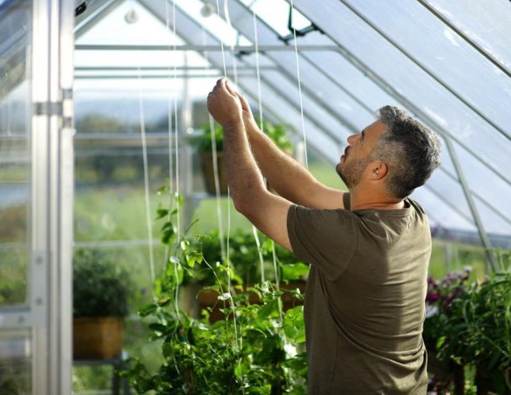 Canopia by Palram balance drivhus 844 X 304 cm Sølv