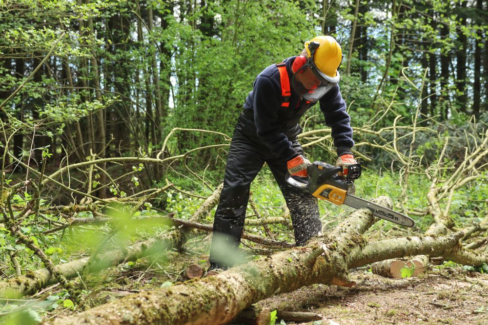 Texas motorsag batteri 58V CSZ5800 u/bat og lader 90070047