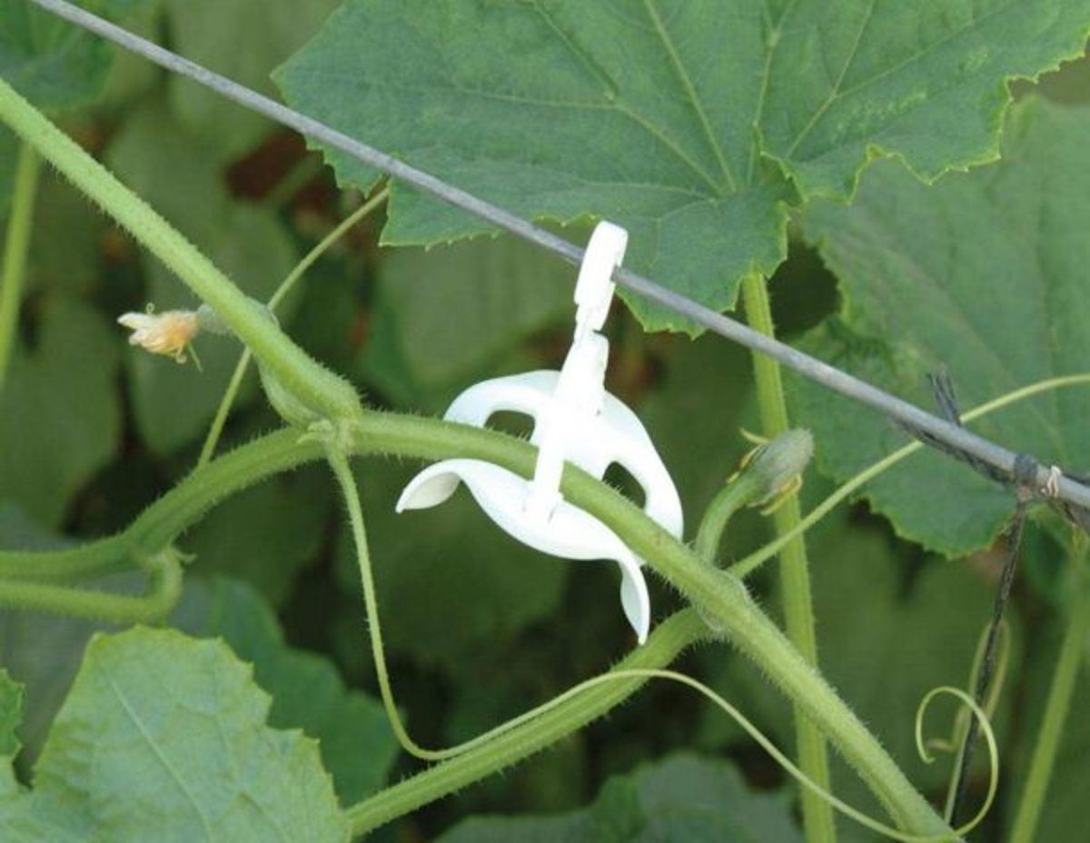 Canopia by Palram trellising sett pro